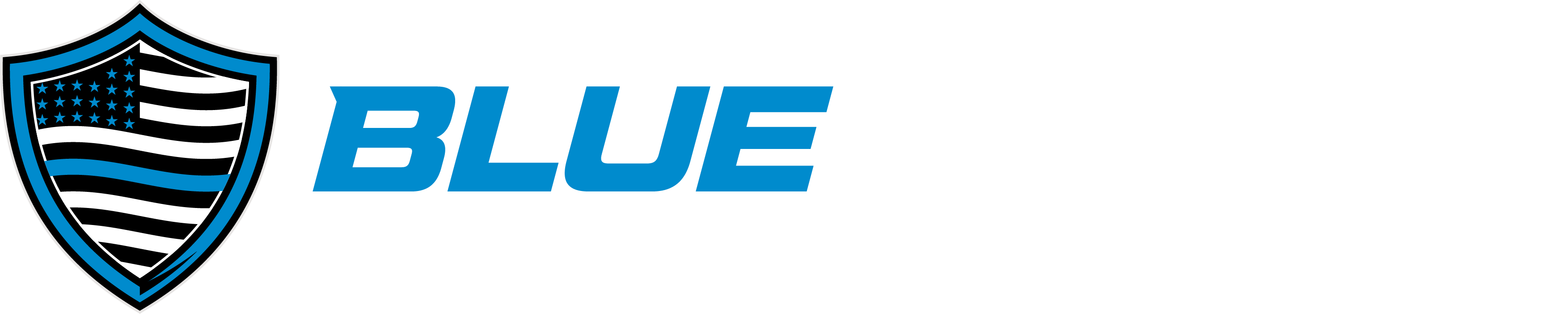 Blue Shield Auto Brokers